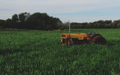 Praying for Laborers